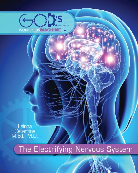The Electrifying Nervous System - Elementary Anatomy