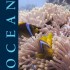 The New Ocean Book  - General Science 1