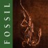 The Fossil Book - General Science 2
