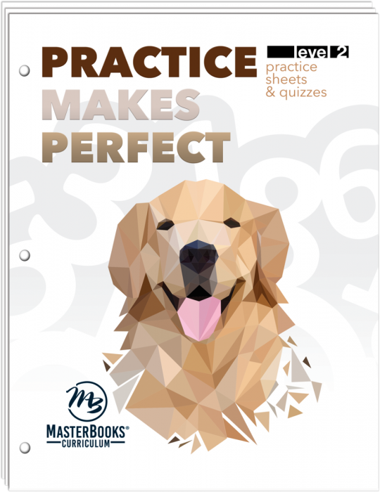 Practice Makes Perfect: Level 2