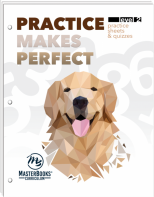Practice Makes Perfect: Level 2