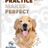 Practice Makes Perfect: Level 2