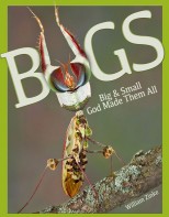 Bugs - Elementary Science Soil, Sea & Sky